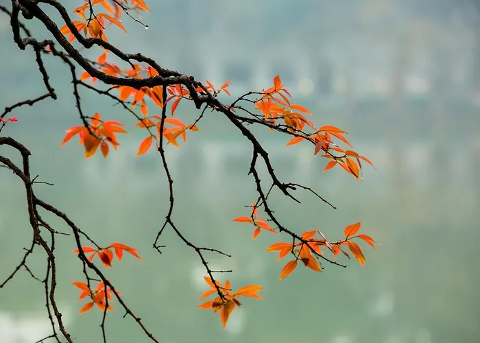 Hanoi Center Silk Hotel & Travel